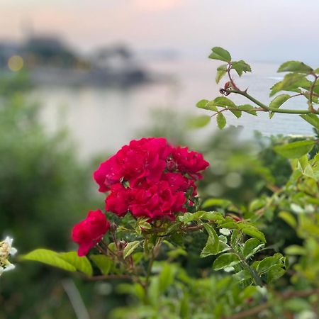 Mundaka Beachfront House ภายนอก รูปภาพ
