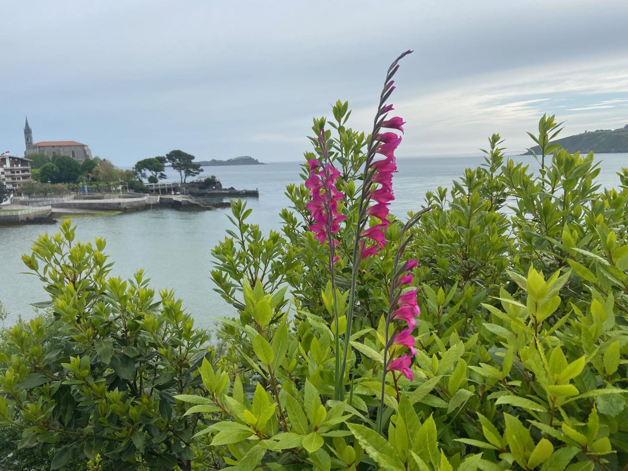 Mundaka Beachfront House ภายนอก รูปภาพ